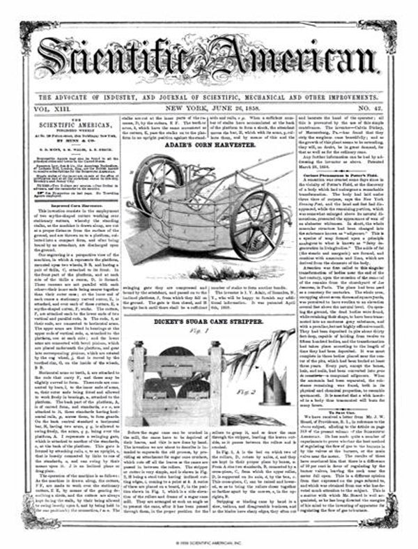 Scientific American Magazine Vol 13 Issue 42