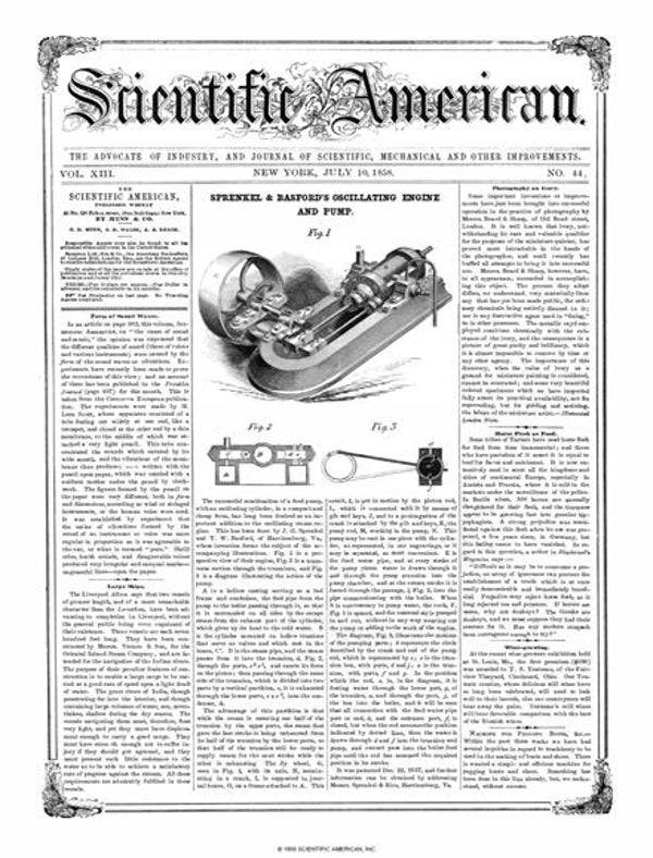 Scientific American Magazine Vol 13 Issue 44