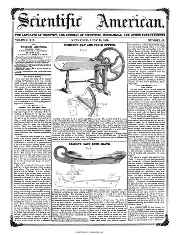 Scientific American Magazine Vol 12 Issue 45