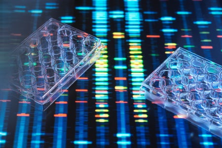 Multi well plate used to contain samples with the DNA (deoxyribonucleic acid) results in the background