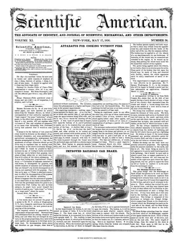 Scientific American Magazine Vol 11 Issue 36