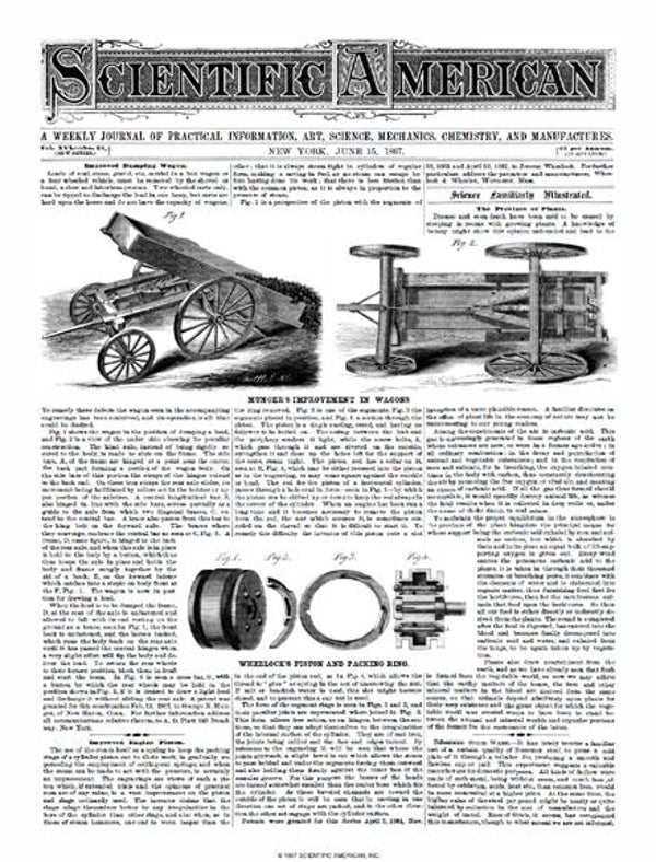 Scientific American Magazine Vol 16 Issue 24