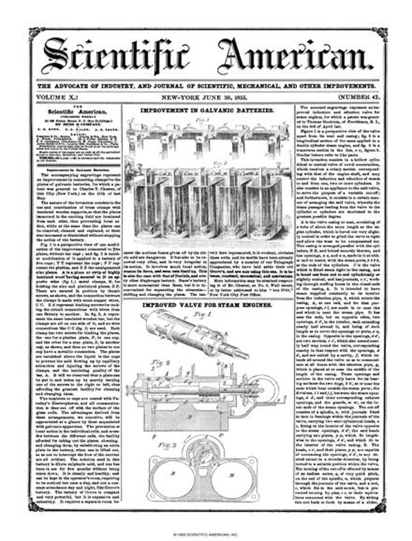 Scientific American Magazine Vol 10 Issue 42