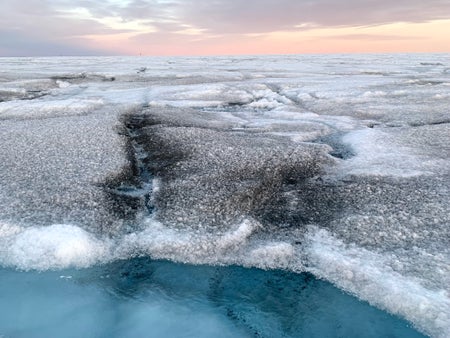 Snow blackened by algae with pink sunset in background and blue ocean front