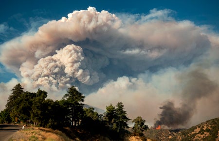 Pyrocumulus cloud over landscape with trees.